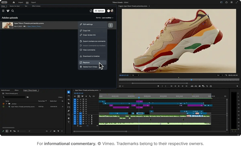 Vimeo Video hosting and review in one platform