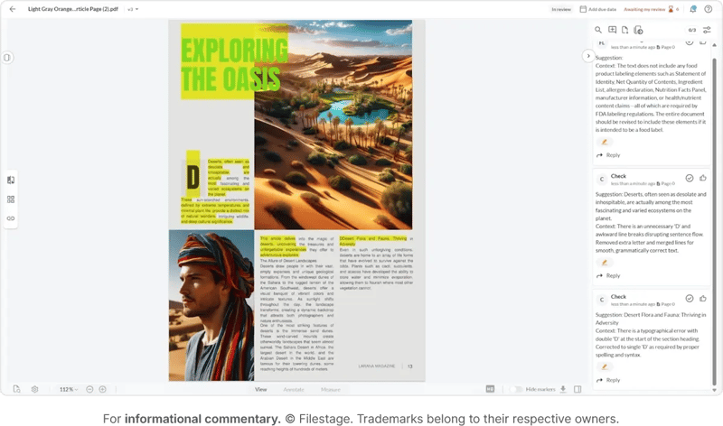 filestage proof viewer content with comments sidebar