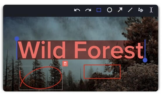 High quality content being marked-up by Ziflow highlightning tool with sentence "Wild Forest"