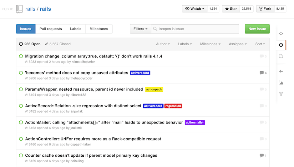 github project overview list of changes and issues