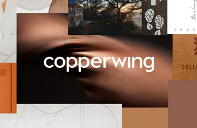 Copperwing